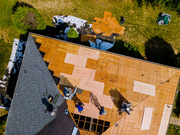 Best Roof Restoration Services  in Houston, MO