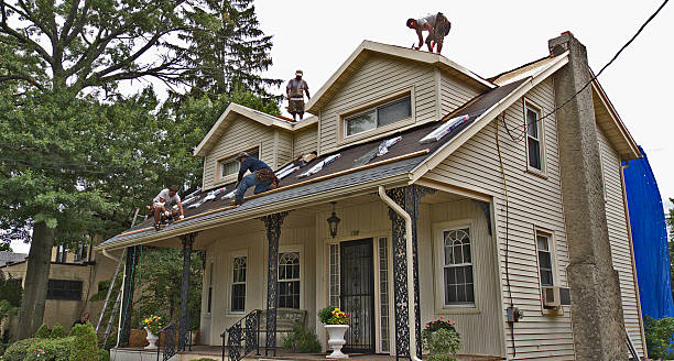 Best Metal Roofing Contractor  in Houston, MO